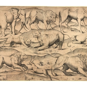 洋書 CLASSIC NATURAL HISTORY PRINTS MAMMALS 9780486266732.jpg?v=1710177998