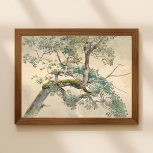 Antique tree art print, Vintage tree branches watercolor painting, Nature wall art, Gnarled mossy oak, Study drawing, Woodland decor, Forest