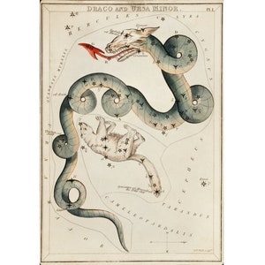 Constellation art print, Draco, Ursa Minor, Antique celestial chart, Vintage star map, Astronomy wall art, Dragon poster, Serpent painting