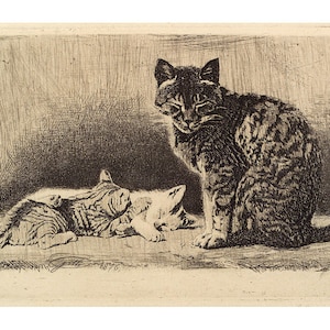 May include: A black and white etching of three cats. Two cats are sleeping on a rug, while the third cat sits up and looks at the viewer.