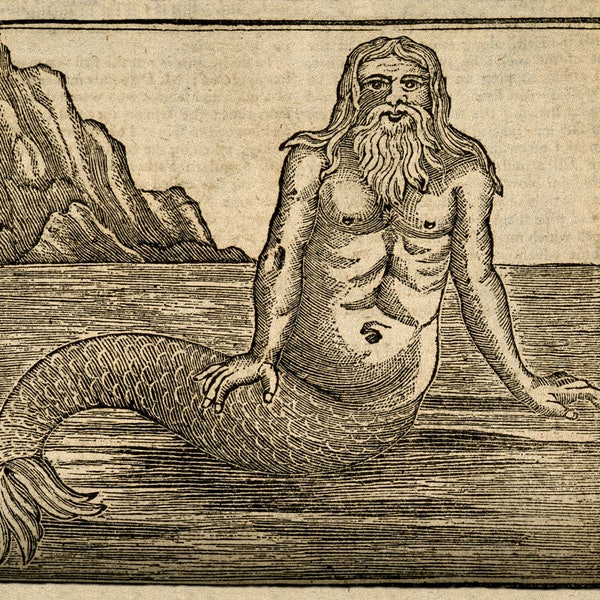 Antique merman art print, Mermaids art, Merpeople, Merfolk, Medieval merman, Bearded man, Mythical creatures, Fantasy art, Vintage mermaid