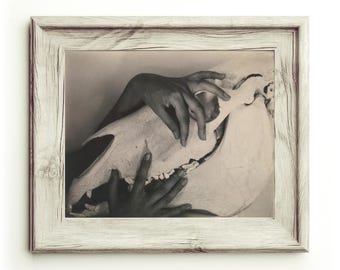 Georgia O'keeffe Hands and Horse Skull Art Print, Alfred Stieglitz
