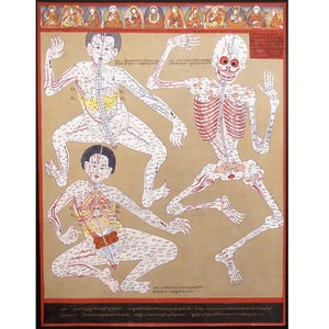 Tibetan Medicine Thangka painting, Antique anatomy art print, Vintage human anatomical chart, Color anatomy wall art, Antique Asian art