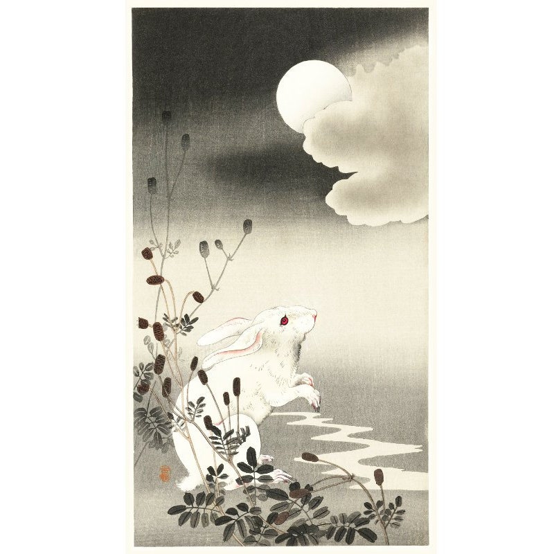 Japanese Rabbit - Etsy