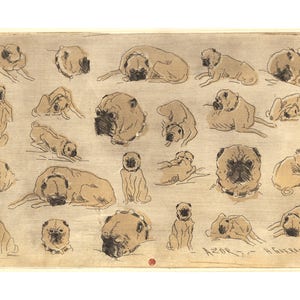 May include: A black and white drawing of a pug dog in various poses. The drawing is on a light brown background and is signed "Azor" and "H.G.F" in the bottom right corner.