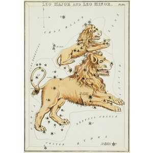 Impression d'art Lion, carte du zodiaque antique, Lion majeur et mineur, art mural lion vintage, carte des étoiles, constellations, art astronomie, signes astrologiques