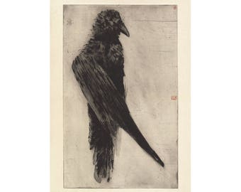 Raven art print, Fine art etching, Vintage wildlife drawing, Black and white, Dark academia, Gothic, Memento mori, Bird wall art, Animal art