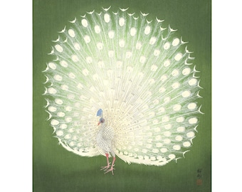 Peacock art print, Japanese white peacock painting, Ohara Koson woodcut print, woodblock art, Emerald green, Elegant, Ethereal, Bird art