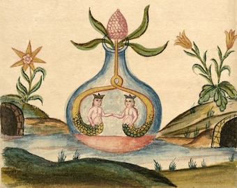 Alchemical drawing art print, Antique mermaids painting, Alchemy, Mermaid, Merman, Medieval art, Nature, Love, Ancient, Obscure, Esoteric