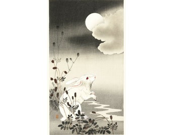 il_340x270.1678722860_quol.jpg