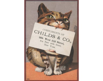 Può includere: Un gatto dei cartoni animati che tiene un cartello con su scritto "Compliments of Childs & Co., 308 West 42d Street, 204 East 26th Street, New York."