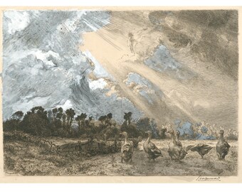 Grabado antiguo en color, grabado artístico, gansos, patos, nubes de tormenta, paisaje rural, escena de granja, animales de granja, aves acuáticas, bellas artes.