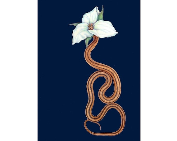 Collage art print, SNAKE FLOWER, Natural history print, Fine art print, Surreal artwork, Bizarre art, Curiosity, Oddity, Rat snake, Trillium