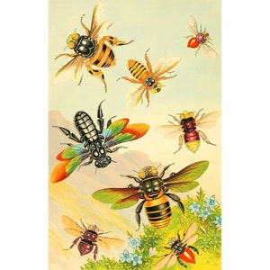 Bees art print, Vintage bee art, Bumblebee, Honeybee, Exotic bees wall art, Vintage insect illustration, Colorful nature art, Entomology art
