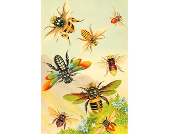Bees art print, Vintage bee art, Bumblebee, Honeybee, Exotic bees wall art, Vintage insect illustration, Colorful nature art, Entomology art