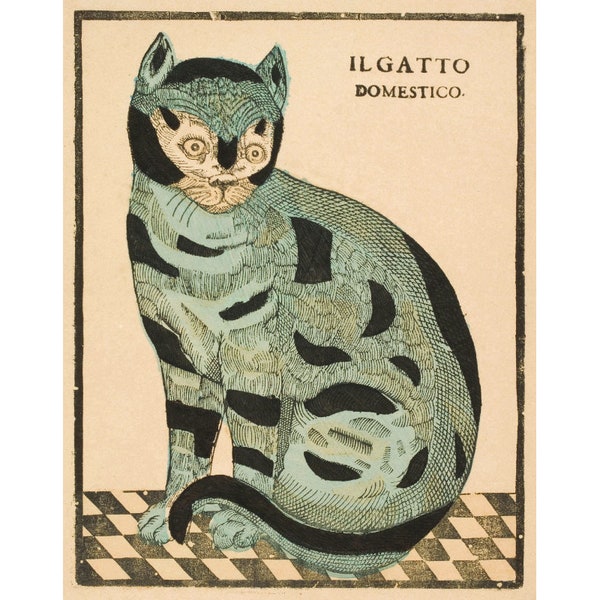 Vintage cat folk art print, Antique Italian blue cat painting, Primitive animal wall art, Rustic animals, Il Gatto Domestico, Remondini