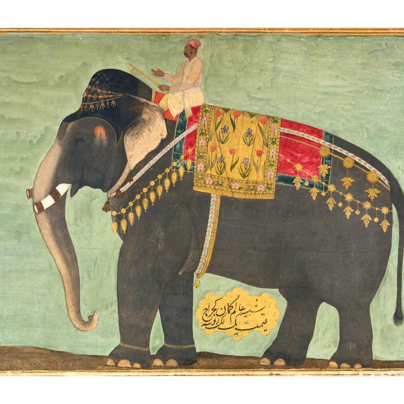 King Elephant main image 0