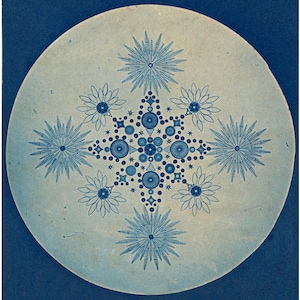 Antique diatoms art print, Diatom art, Diatom photograph, Microbiology, Sea life art, Antique photography, Cyanotype, Natural science art
