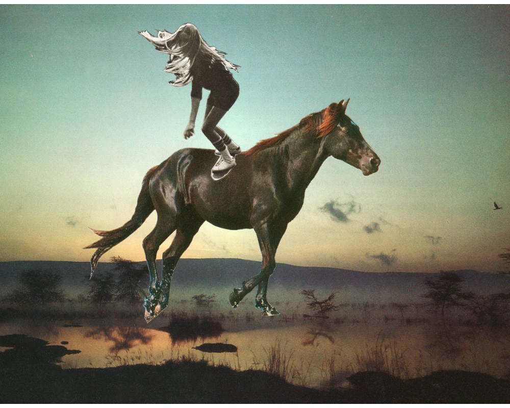 Skater girl art print, Original collage art, Horse girl, Black horse, Fantasy art, Teenage girl, Tomboy, Surreal art print, Contemporary art