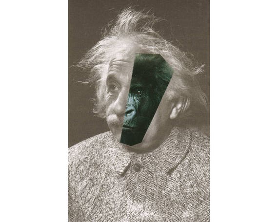 Albert Einstein Art Print, Great Ape, Gorilla, Scientist Art Print