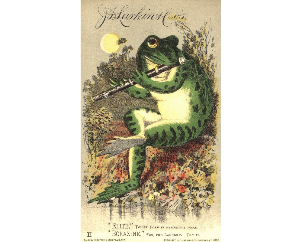 White Star Coffee Vintage Frog Advertising Poster Giclee Print Canvas or Paper
