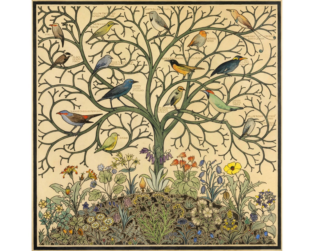 希少 アート 大型本 TROPIAAL ART Birds and Leaves Songbirds Art Print, Tree of Life, Tropical Bird Painting
