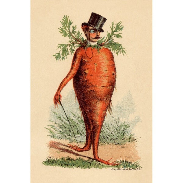 Victorian carrot man, Vintage kitchen art print, Funny kitchen poster, Food wall art, Kitsch, Strange, Bizarre, Absurd, Odd, Curious, Weird