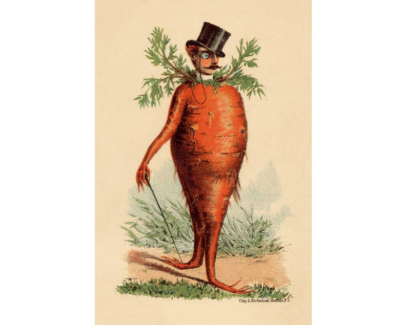 Victorian carrot man, Vintage kitchen art print, Funny kitchen poster, Food wall art, Kitsch, Strange, Bizarre, Absurd, Odd, Curious, Weird image 1