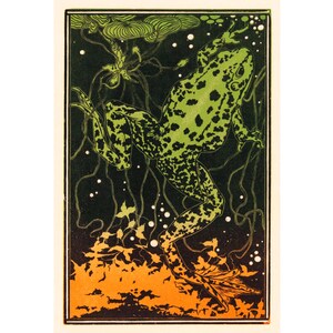 May include: A green and black frog with spots is depicted in a woodcut style illustration. The frog is surrounded by stylized plants and bubbles. The background is a gradient of black, green, and orange.