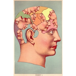 Self-awareness Surreal Collage Art Print Vintage Phrenology - Etsy
