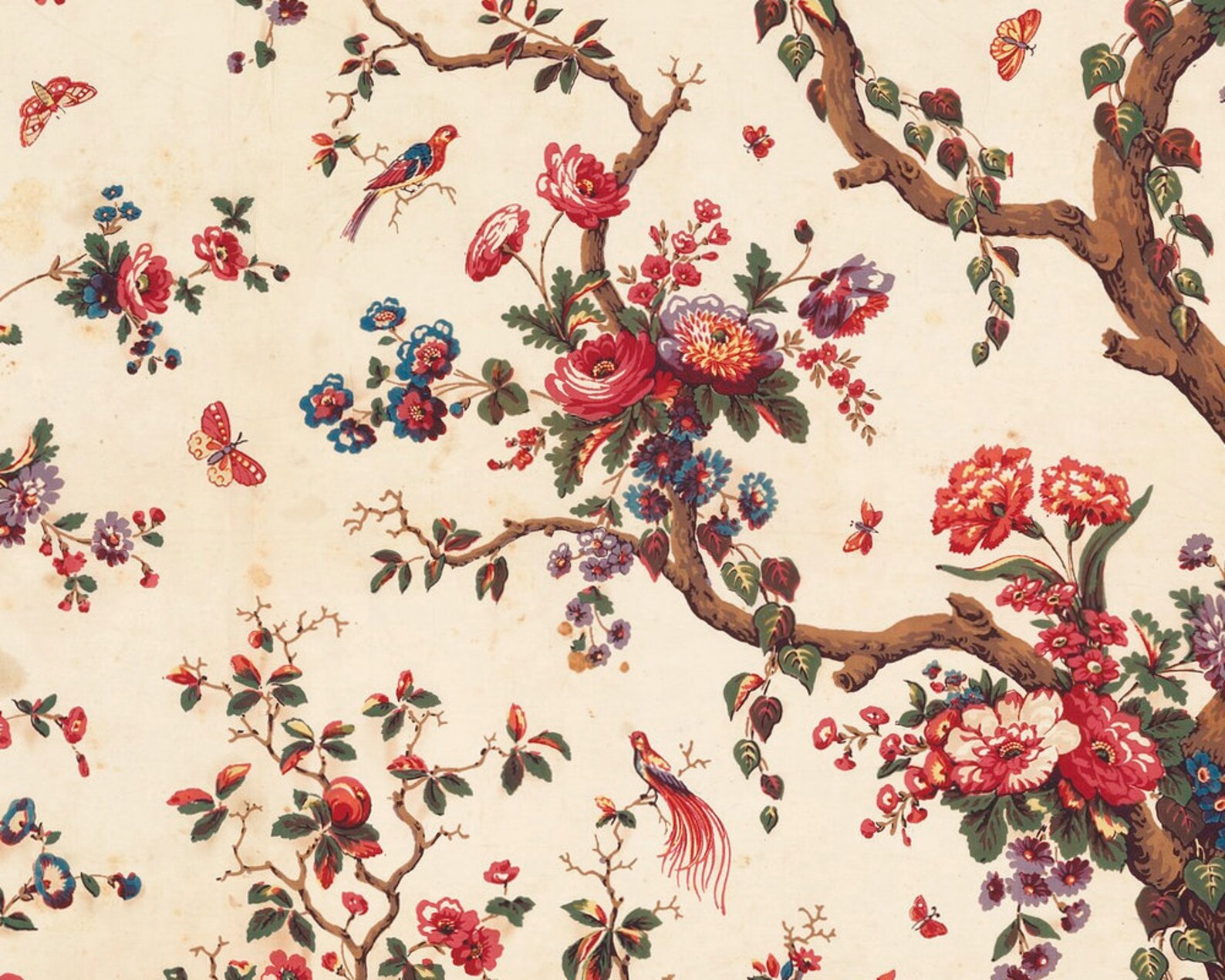 Antique Tree of Life Art Print, Vintage Nature Painting, Chinoiserie ...