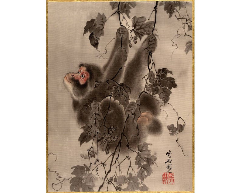 Monkey painting, Monkey art print, Baby monkey, Japanese macaque, Snow macaque, Animal wall art, Animal artwork, Animal painting, Vintage image 1