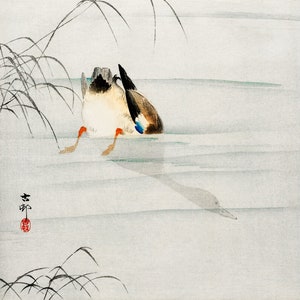 Mallard duck art print, Japanese duck painting, Ohara Koson, Antique Asian bird art, Vintage woodblock print, Waterfowl, Wildlife wall art