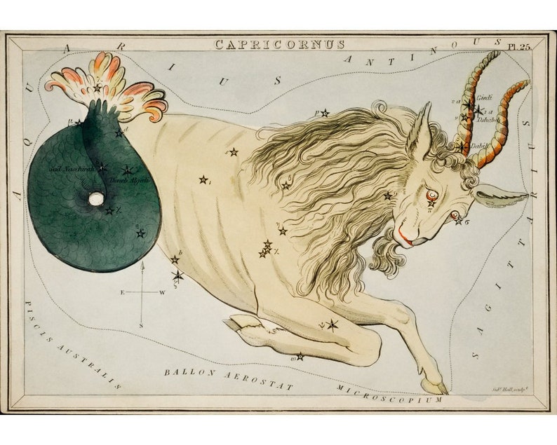 May include: A vintage illustration of the constellation Capricornus, depicted as a sea-goat with a fish tail. The illustration is in a light blue, green, and brown color scheme with a white background. The constellation is surrounded by stars and labeled with the text "CAPRICORNUS".