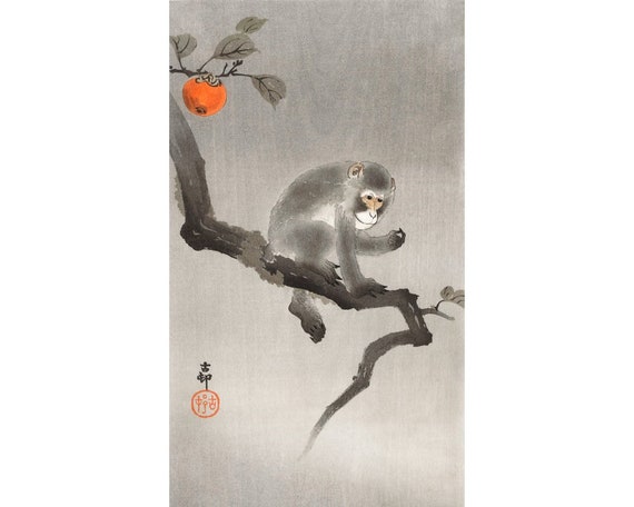 Japanese macaque art print, Snow monkey painting, Vintage Asian animal art, Antique Japan woodblock print, Persimmon tree, Ohara Koson