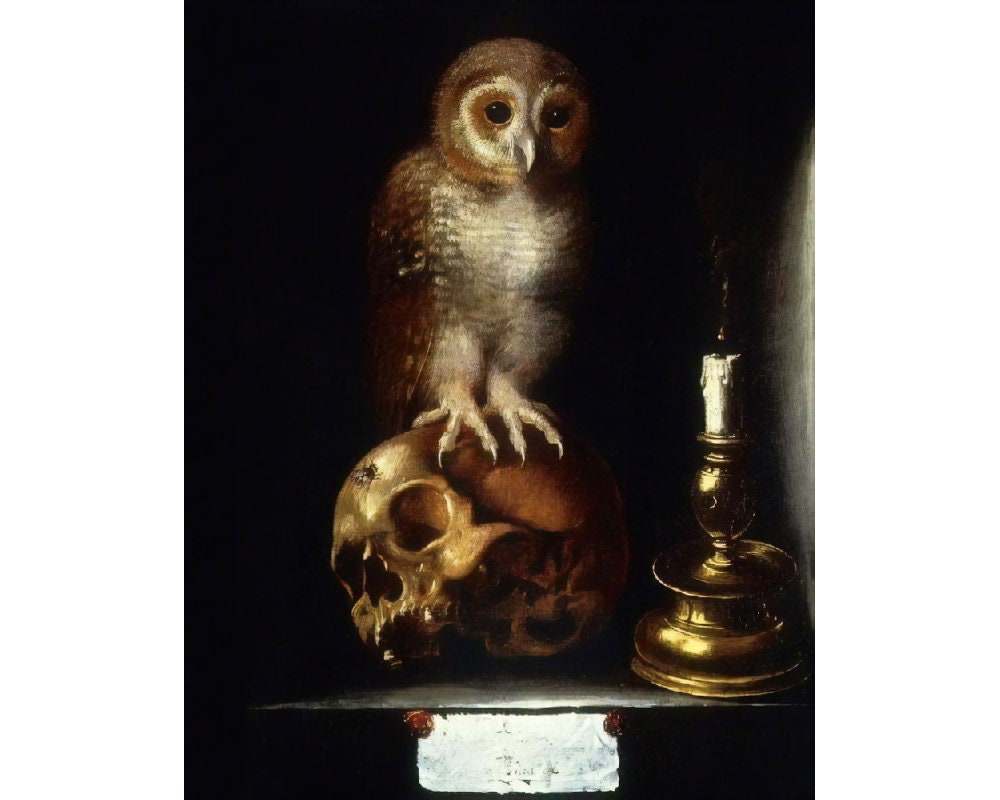 Vanitas with Owl painting, Memento Mori art print, Vintage owl and skull, Death wall art, Antique oil, Dark art, Gothic, Morbid, Macabre