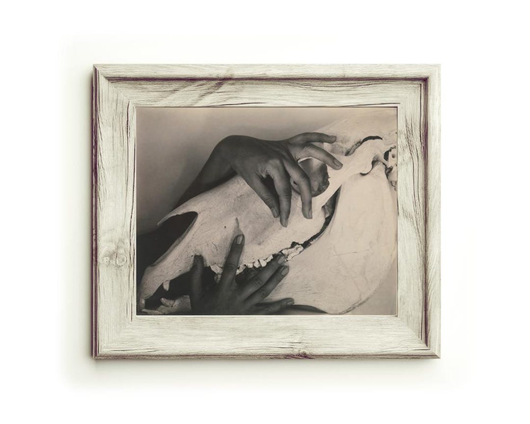 Ernst Glaesel ca.1920バイオリン Seifert358セット Georgia O'keeffe Hands and Horse Skull Art Print, Alfred Stieglitz