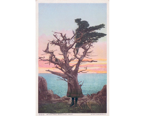 Witch Tree, Collage art print, Surreal wall art, Vintage postcard, Strange art, Old cedar, Nature art, Tree spirit, Magical creatures