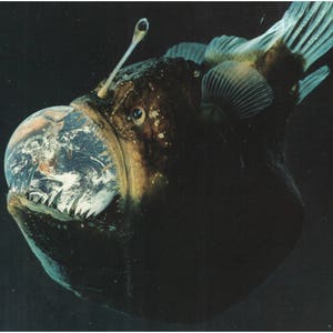 Contemporary collage art print, Angler fish, Earth, Sea monster, Space monster, Surreal art, Surrealism, Fantasy art, Scary, Creepy, Horror