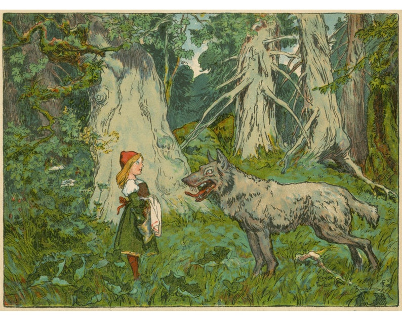 May include: A young girl in a red hooded dress stands in a forest, looking at a gray wolf with its mouth open. The wolf is standing in the grass, with trees in the background.