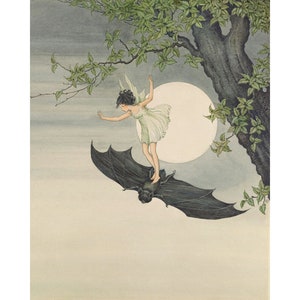 Vintage fairy riding a bat art print, Ida Rentoul Outhwaite illustration, Antique fairy tale wall art, Night, Full moon, Forest, Woodland