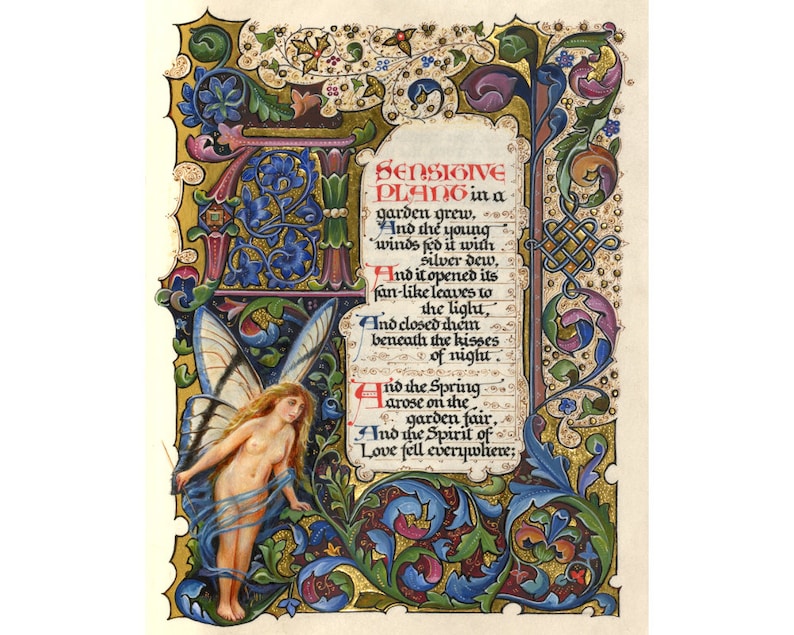 May include: A vintage illustration of a fairy with butterfly wings, surrounded by ornate floral designs. The text reads "Sensitive Plant in a garden grew, And the young winds fed it with silver dew, And it opened its fan-like leaves to the light, And closed them beneath the kisses of night. And the Spring arose on the garden fair, And the Spirit of Love fell everywhere;"