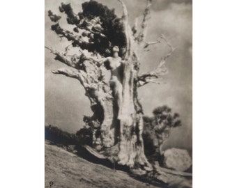 Invictus, Anne Brigman print, Antique photography art, Feminist wall art, Nature spirit, Tree nymph, Dryad, Goddess, Vintage woman