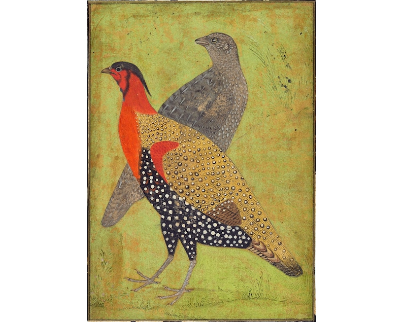 Antique Indian bird art print, Two pheasants, Mughal painting, Exotic birds wall art, India art, Tragopan horned pheasant, Vintage animals image 1