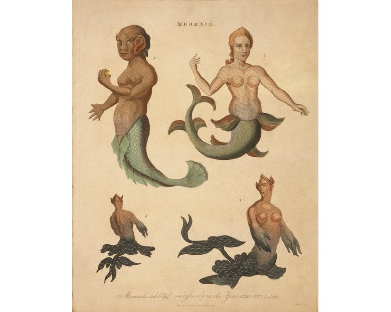 May include: An antique illustration of four mermaids with the title "MERMAID." The mermaids are depicted with human-like torsos and fish tails. The illustration is in a vintage style with hand-painted details.