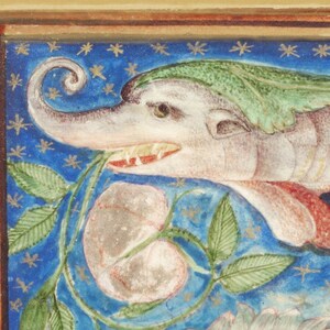 May include: A detailed illustration of a fantastical creature with a long, curled snout, green leafy headwear, and a pink body. The creature is depicted against a blue background with gold stars and is biting into a white flower with green leaves.