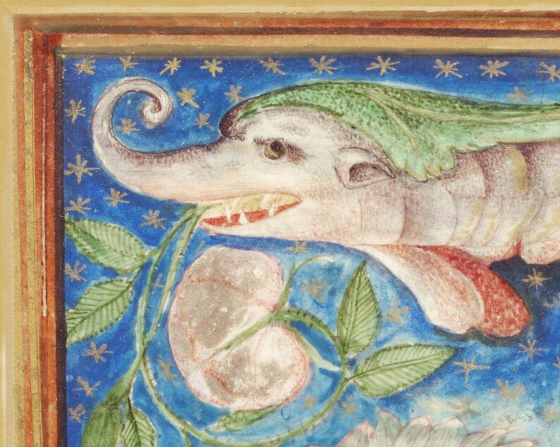 May include: A detailed illustration of a fantastical creature with a long, curled snout, green leafy headwear, and a pink body. The creature is depicted against a blue background with gold stars and is biting into a white flower with green leaves.