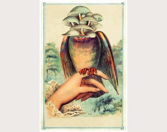 Strange Bird #2, Collage art print, Vintage mushrooms, Victorian hand, Surreal animal wall art, Magical creature, Dada, Weird, Psychedelic