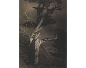 Anne Brigman print, The Dying Cedar, Antique photography art, Tree Spirits, Pagan, Women, Feminist art, Vintage woman photograph, Nature