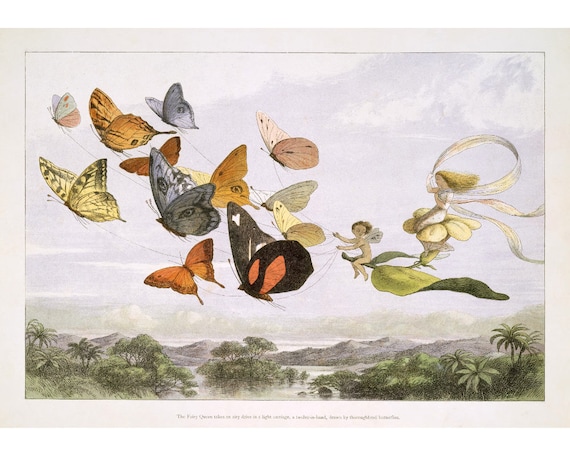 Fairies art print, Fairies wall art, Butterflies, Art for children, Antique fairy tale illustration, Vintage fairy tale art, Story book art